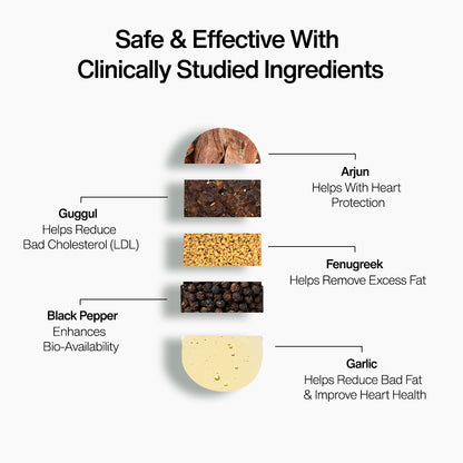 Cholesterol Support